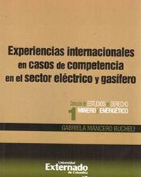 Experiencias internacionales en casos de competencia en el sector eléctrico y gasífero (2011)