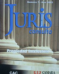 Juris consulta (7) (2003)