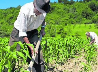 Proyecto de ley declara zonas agrícolas como de utilidad pública prevaleciendo sobre proyectos mineros