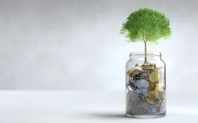 Advance for Future Capitalizations Must Follow Terms Agreed Between the Company and Interested Shareholders (Superintendency of Companies, Office 220-046662 of 2024)